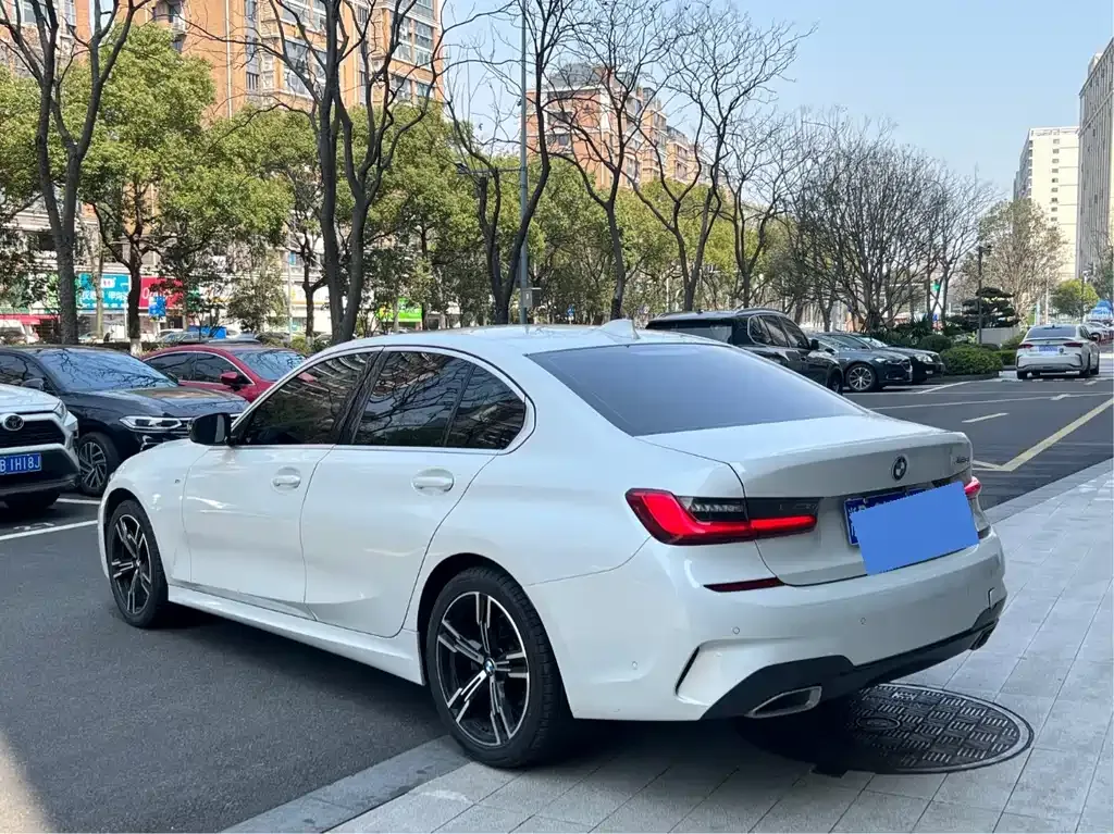 BMW 3 Series 2021 из CN, фото 9