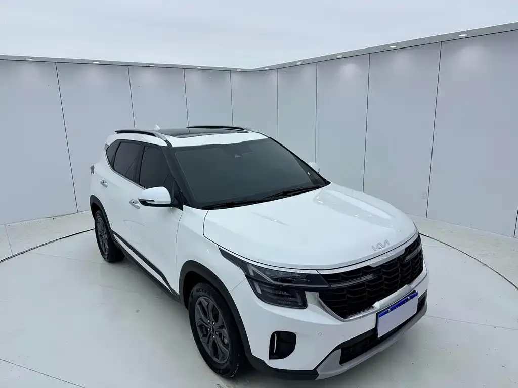 Kia Seltos 2023 из CN, фото 4