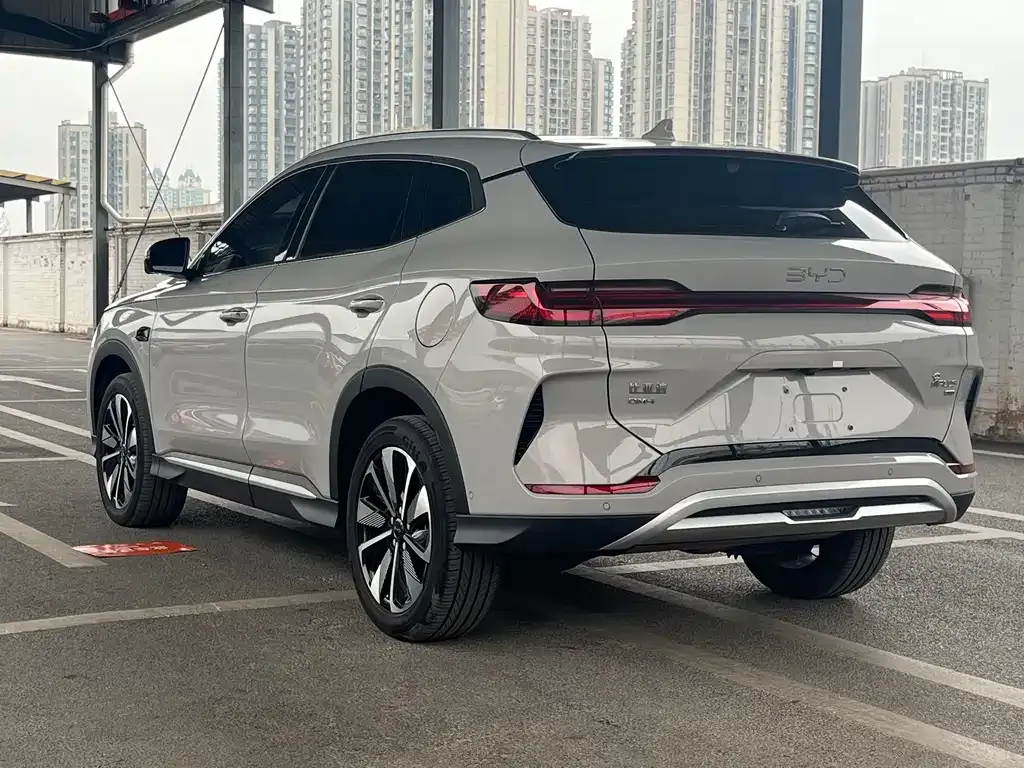 BYD PLUS New Energy — фото 9