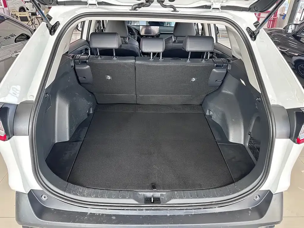 Toyota Wildlander 2023 из CN, фото 6
