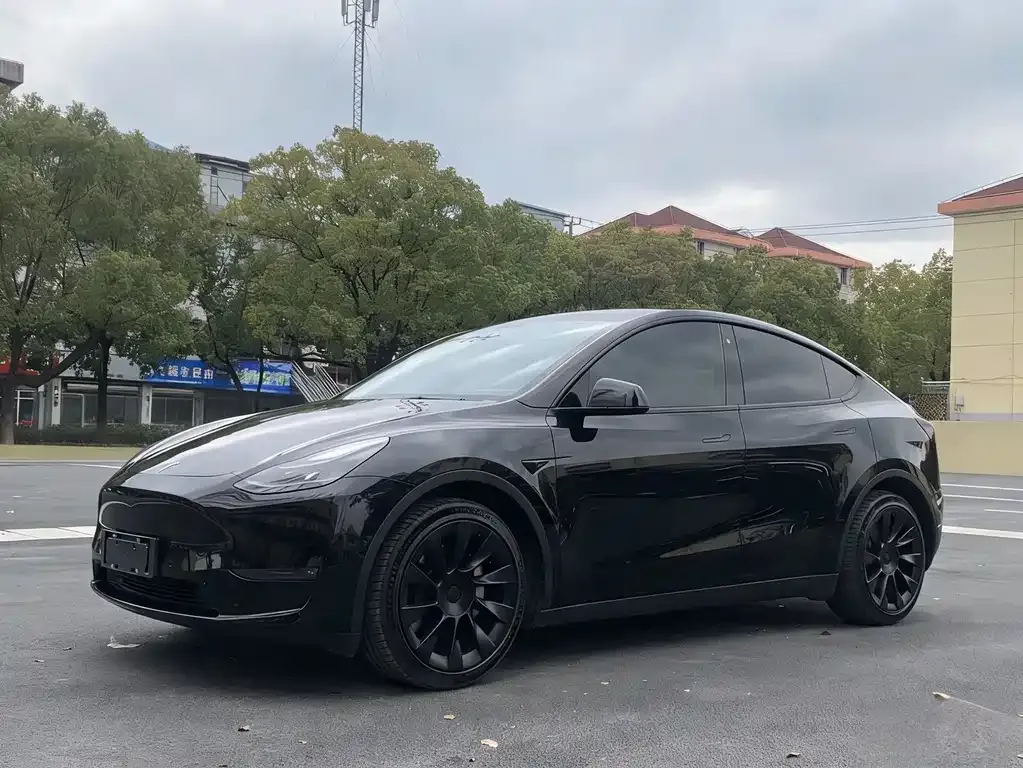 Tesla Model Y — фото 1