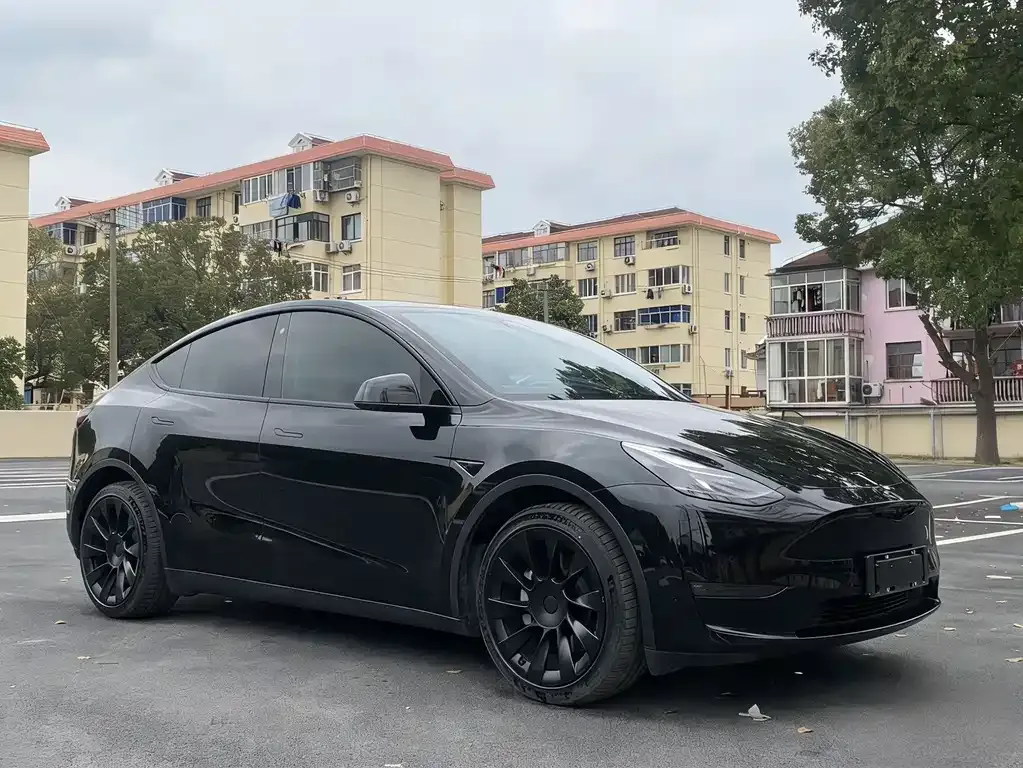 Tesla Model Y — фото 4