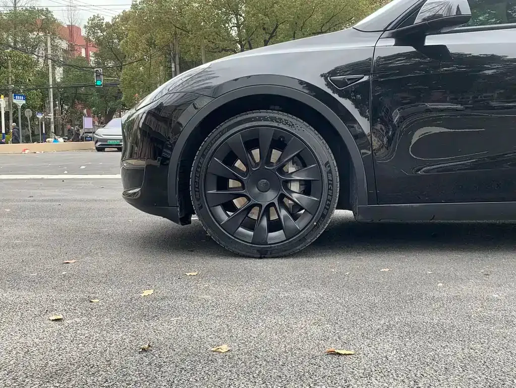 Tesla Model Y — фото 10