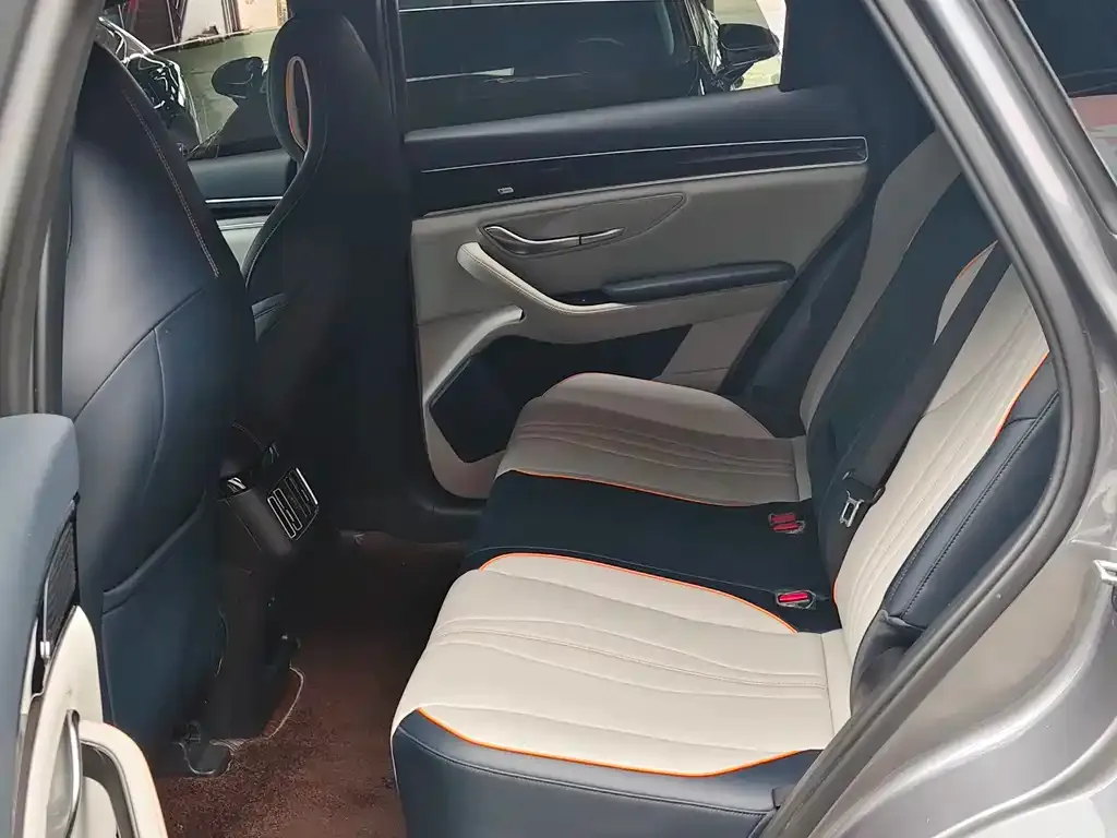 BYD PLUS New Energy 2022 из CN, фото 7