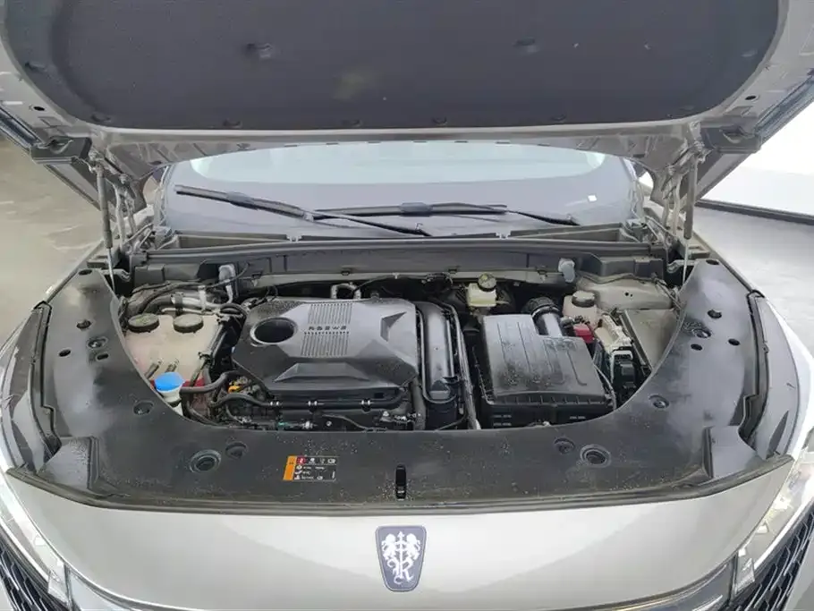 Roewe RX5 New Energy 2026 из CN, фото 8