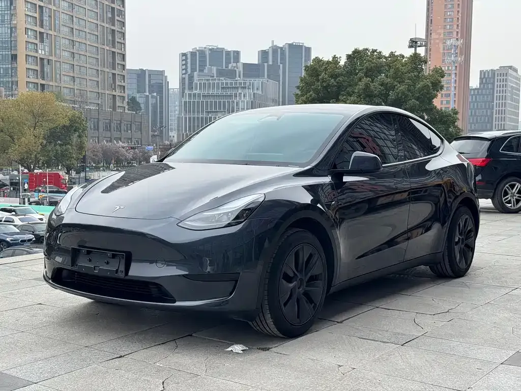 Tesla Model Y — фото 1
