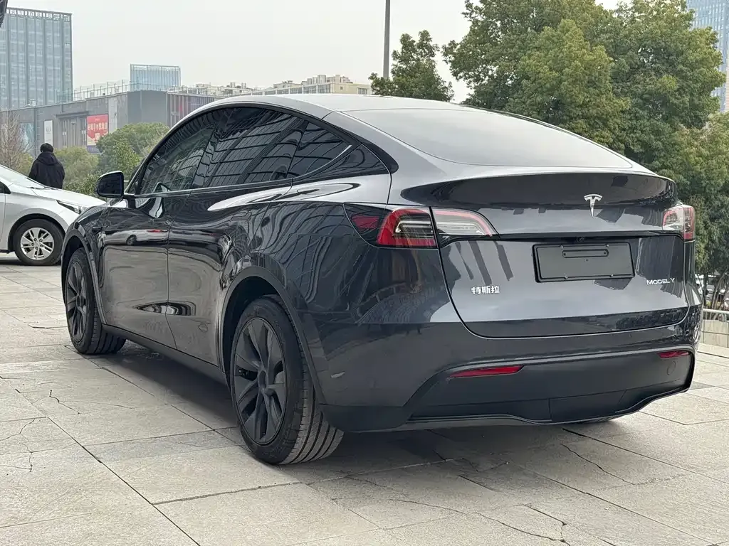 Tesla Model Y — фото 6