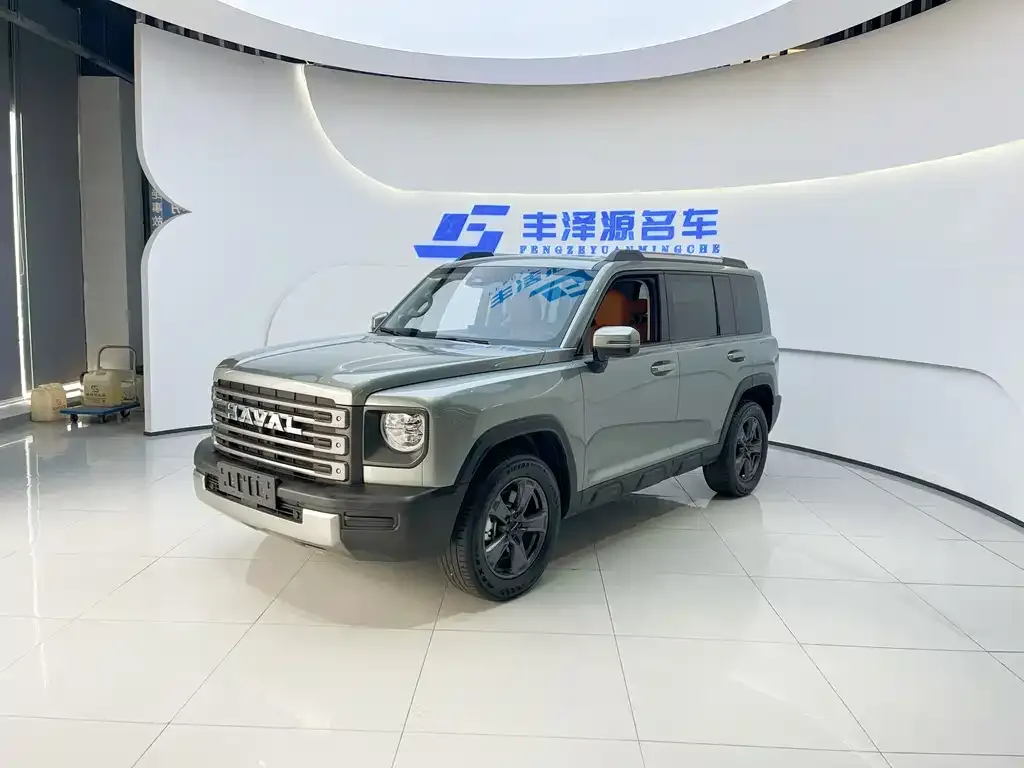 Haval Menglong New Energy 2023 из CN, фото 1