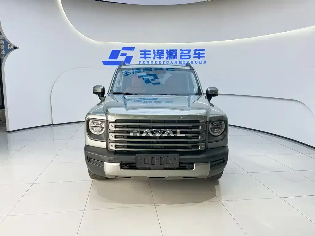 Haval Menglong New Energy 2023 из CN, фото 10