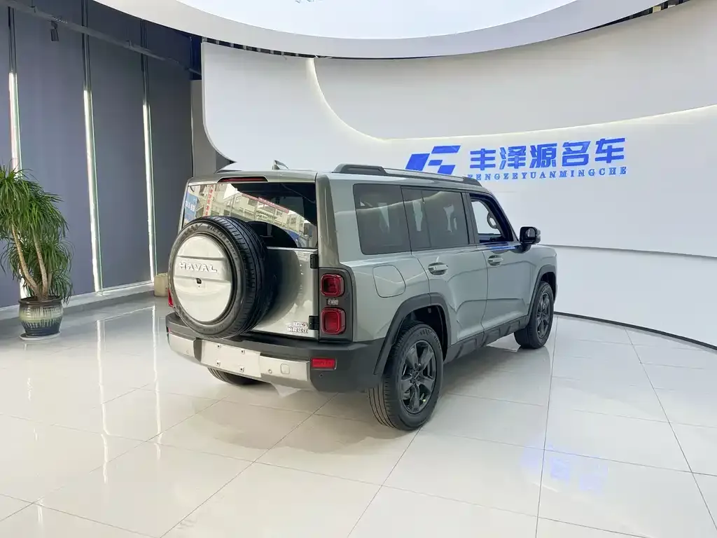 Haval Menglong New Energy 2023 из CN, фото 3