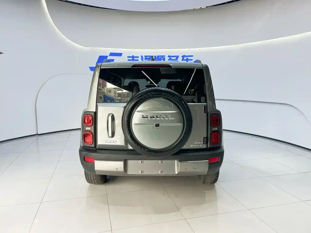 Haval Menglong New Energy 2023 из CN, фото 2