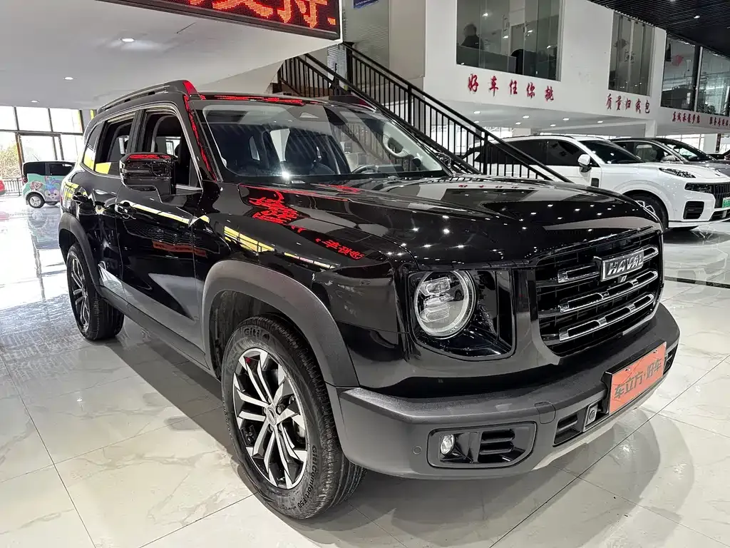 Haval Big Dog 2021 из CN, фото 7