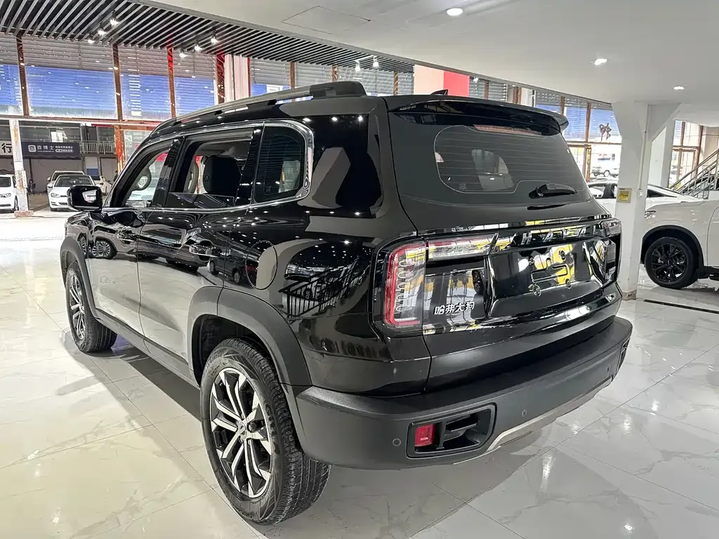 Haval Big Dog 2021 из CN, фото 6