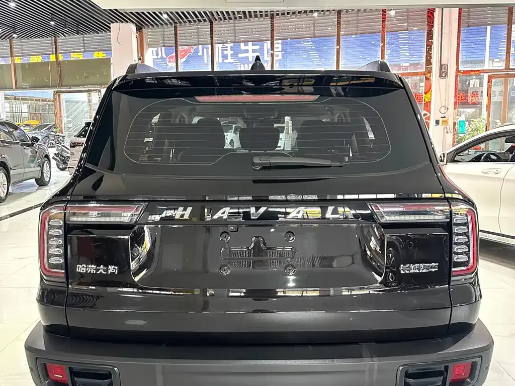 Haval Big Dog 2021 из CN, фото 9