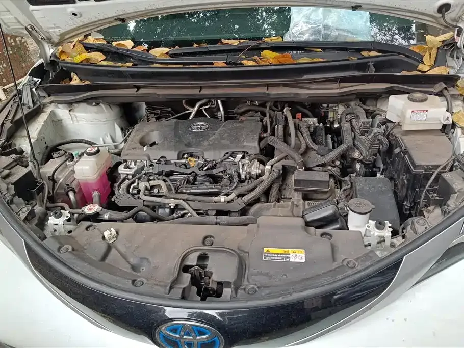 Toyota Sienna 2023 из CN, фото 5