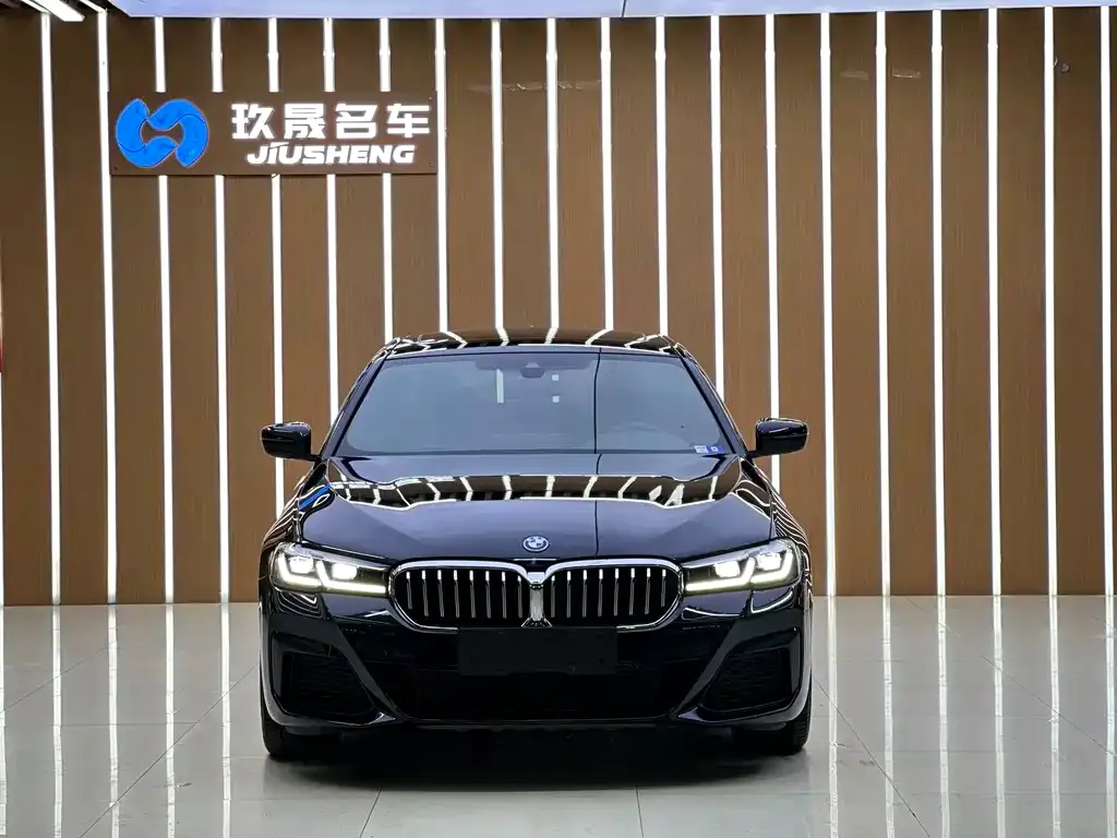 BMW 5 Series New Energy 2022 из CN, фото 2