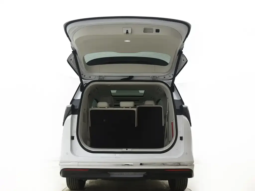 Buick GL8 Hybrid 2024 из CN, фото 7