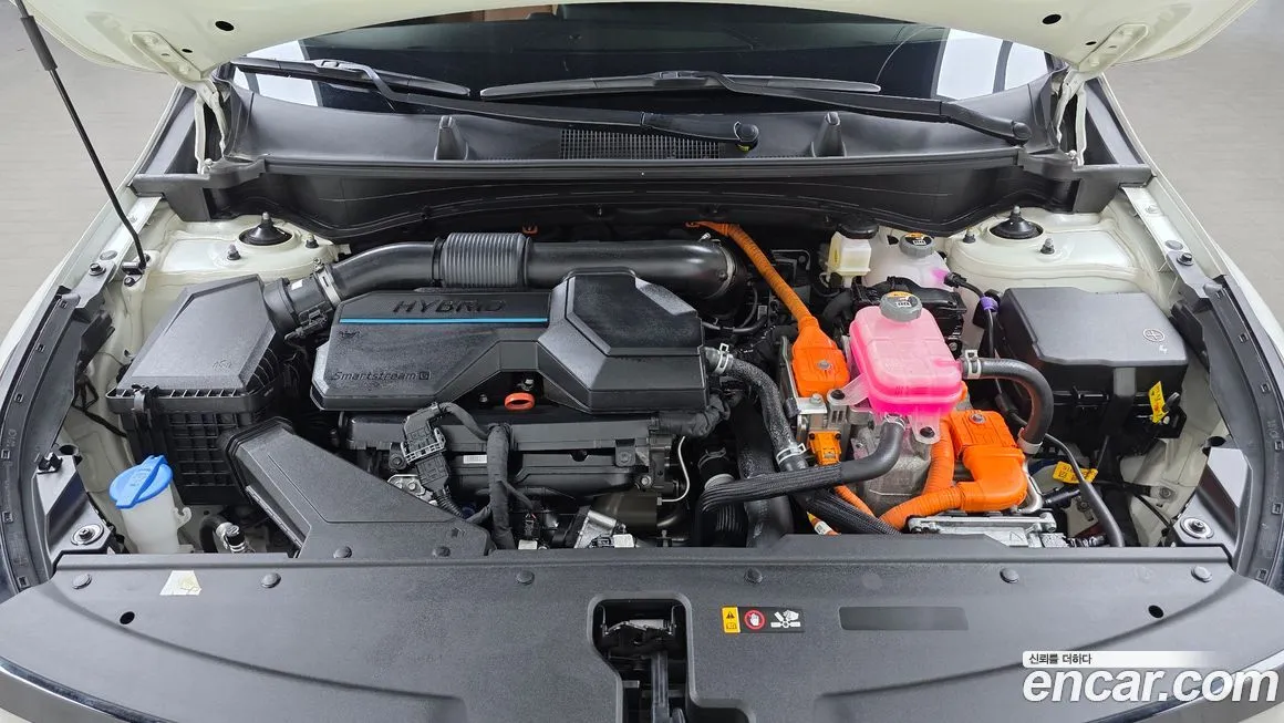 Kia Sportage — фото 10