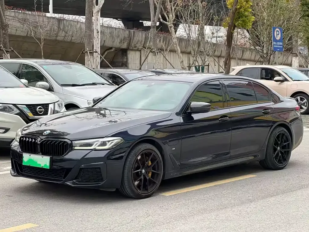 BMW 5 Series New Energy 2021 из CN, фото 1