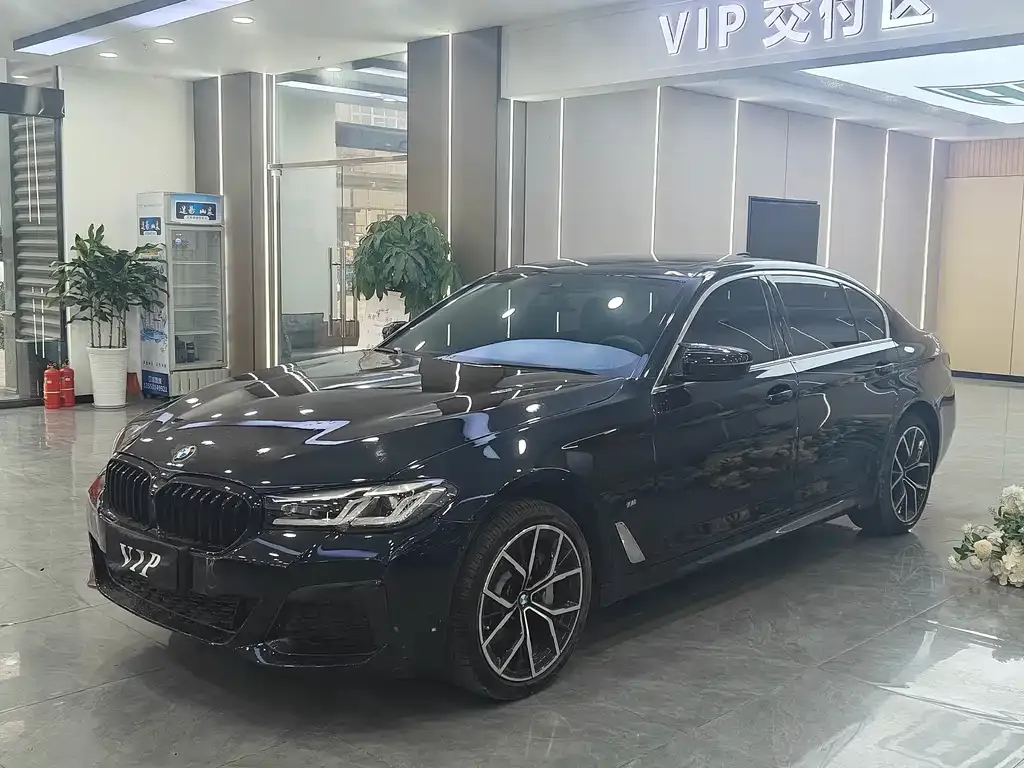 BMW 5 Series 2022 из CN, фото 1