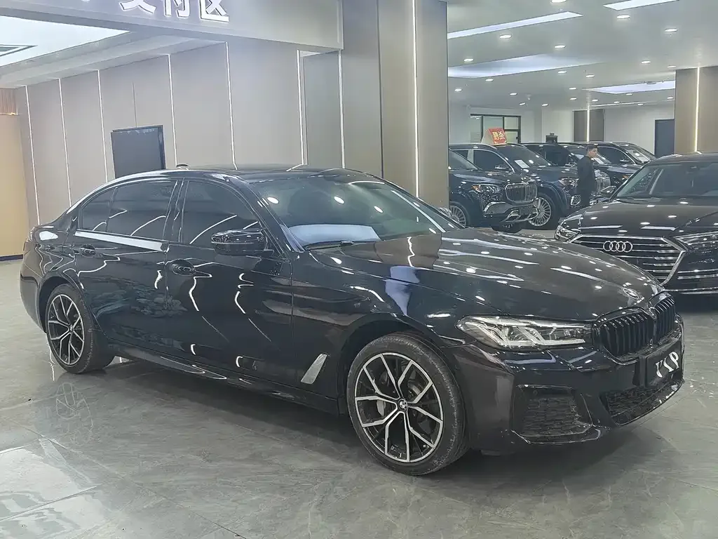 BMW 5 Series 2022 из CN, фото 5