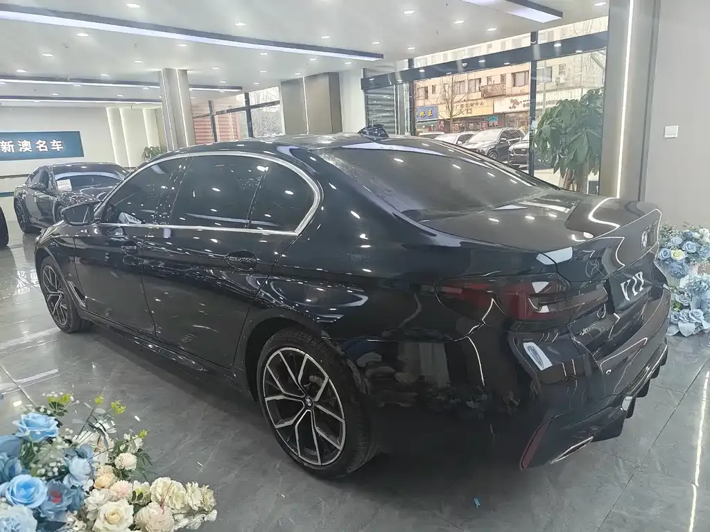 BMW 5 Series 2022 из CN, фото 6