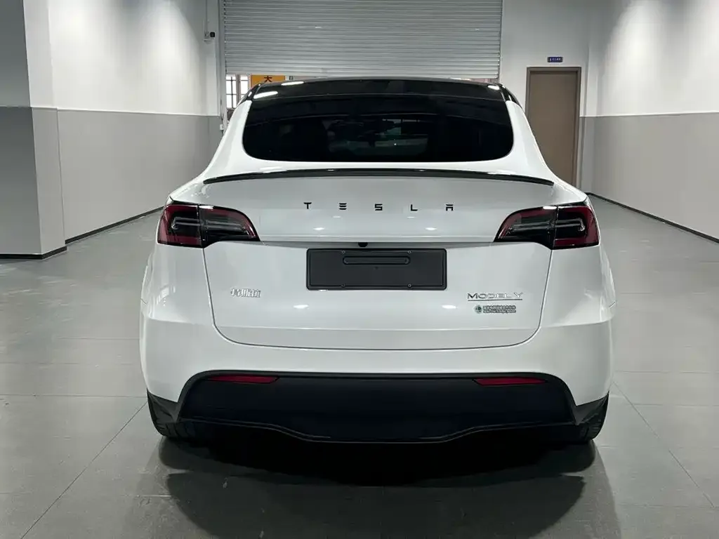 Tesla Model Y — фото 2