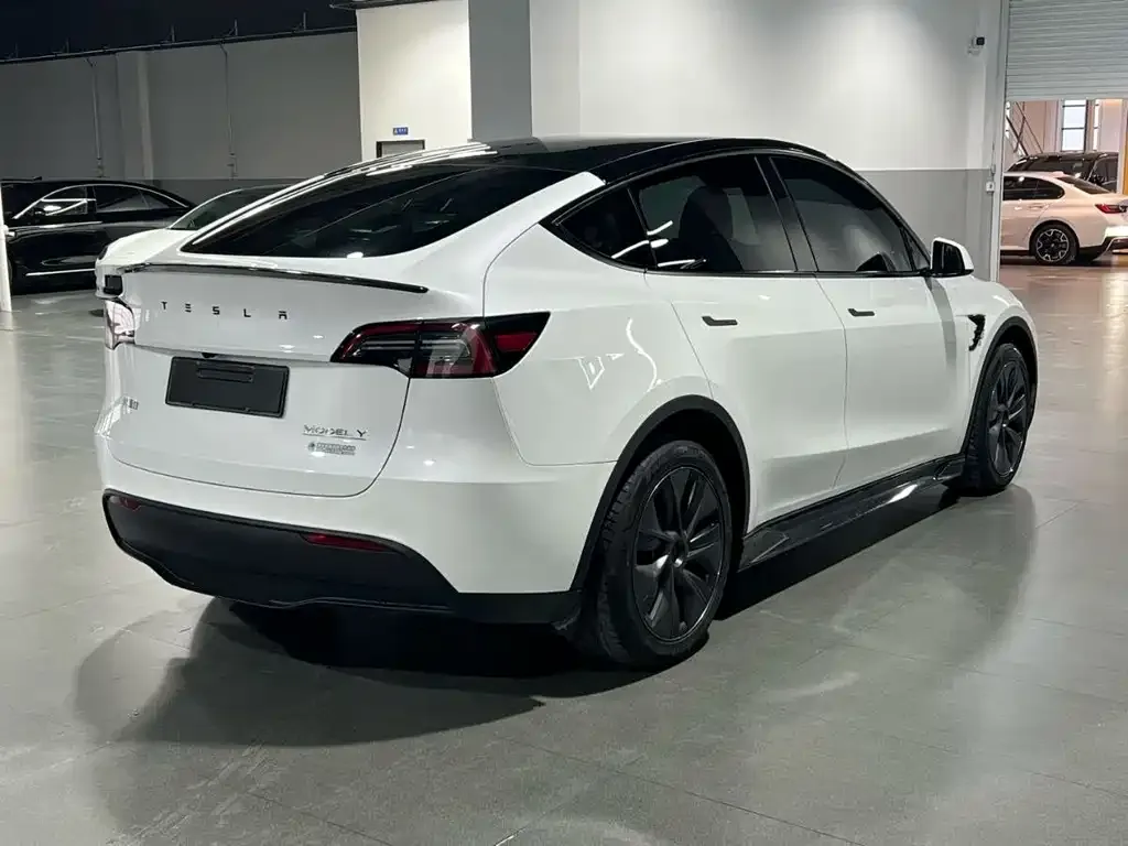Tesla Model Y — фото 8