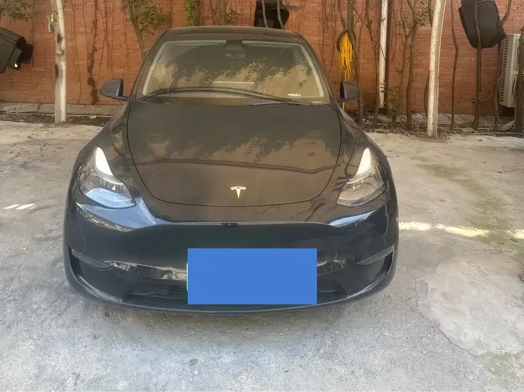 Tesla Model Y — фото 1