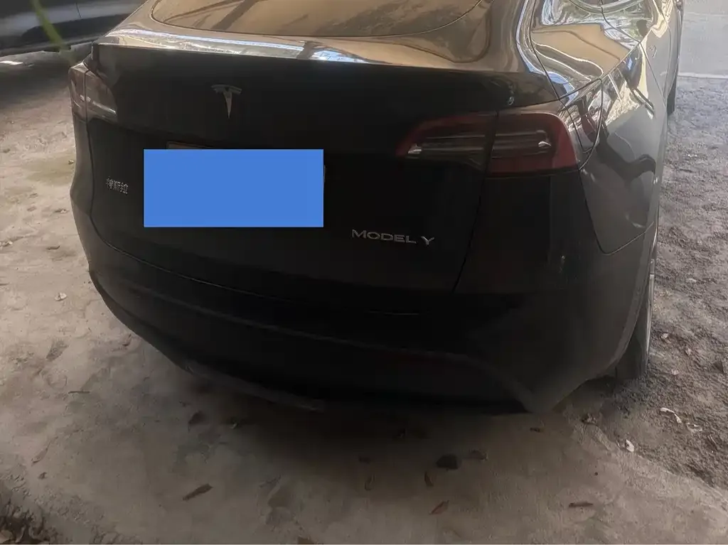 Tesla Model Y — фото 2