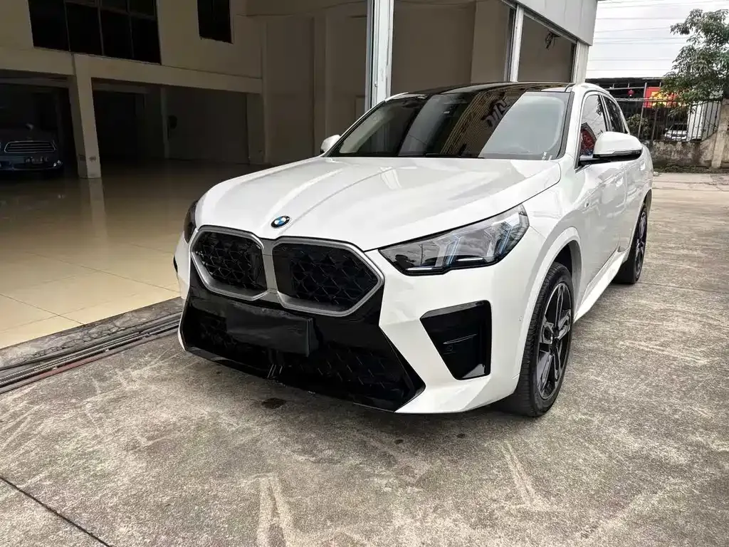 BMW X2 (Import) — фото 1