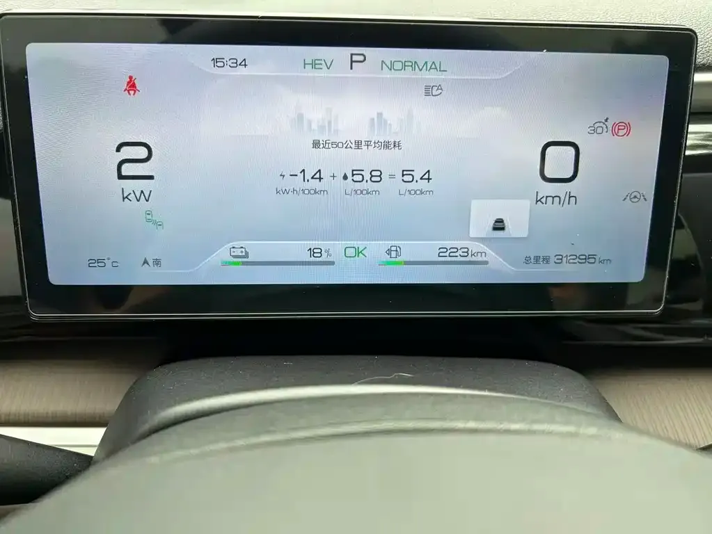 BYD Pro New Energy — фото 5