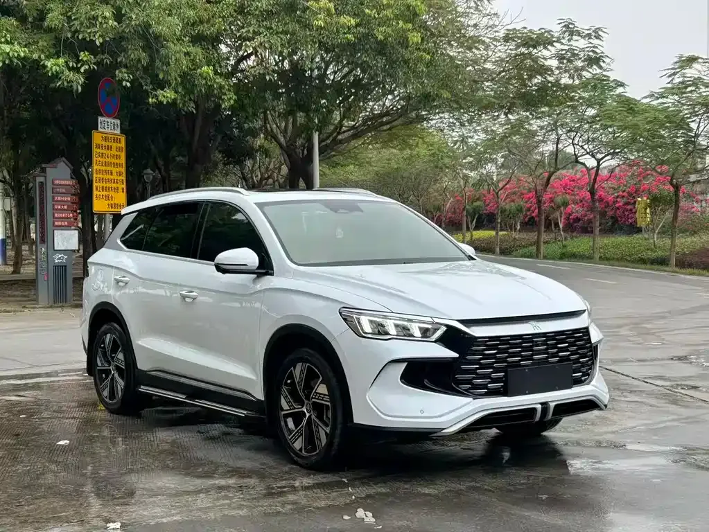 BYD Pro New Energy — фото 3
