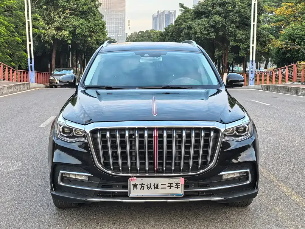 Hongqi HS7 — фото 9