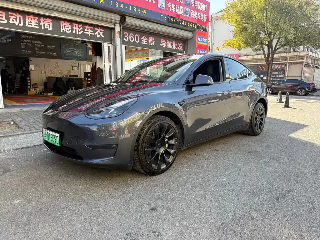 Tesla Model Y 2021 из CN, фото 1