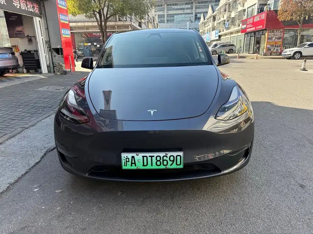 Tesla Model Y 2021 из CN, фото 4