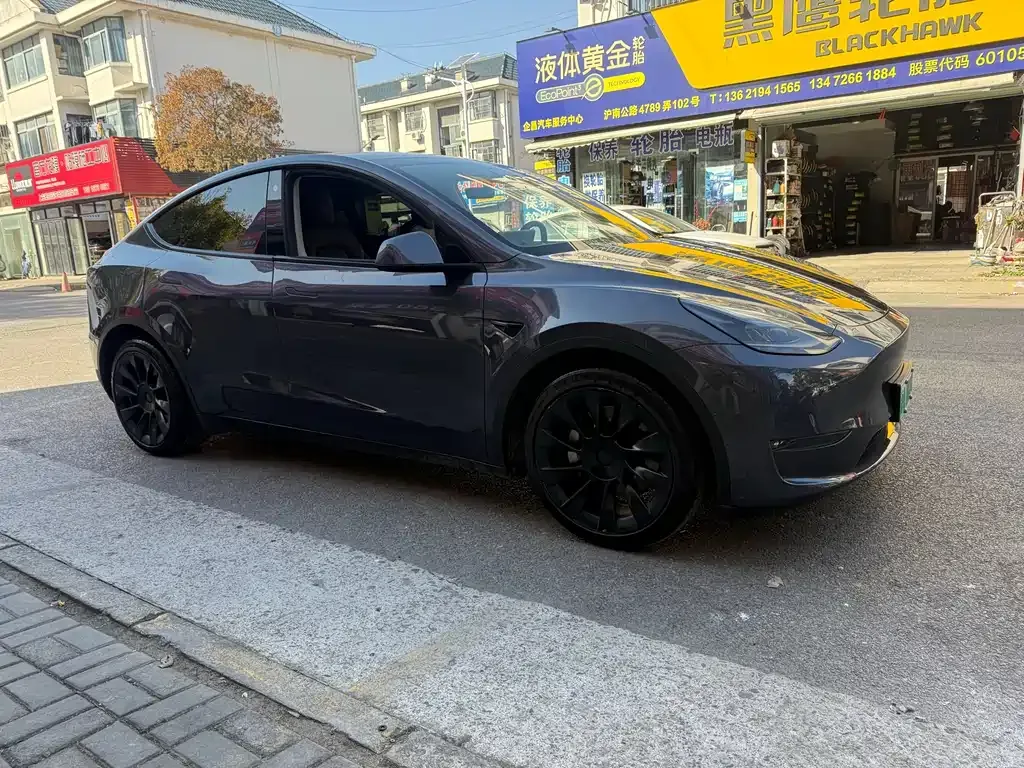 Tesla Model Y 2021 из CN, фото 8