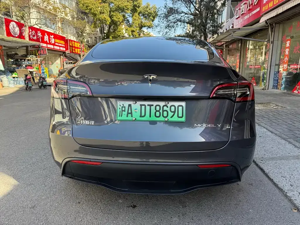 Tesla Model Y 2021 из CN, фото 9