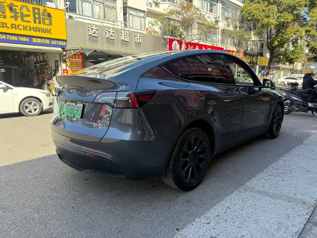 Tesla Model Y 2021 из CN, фото 3