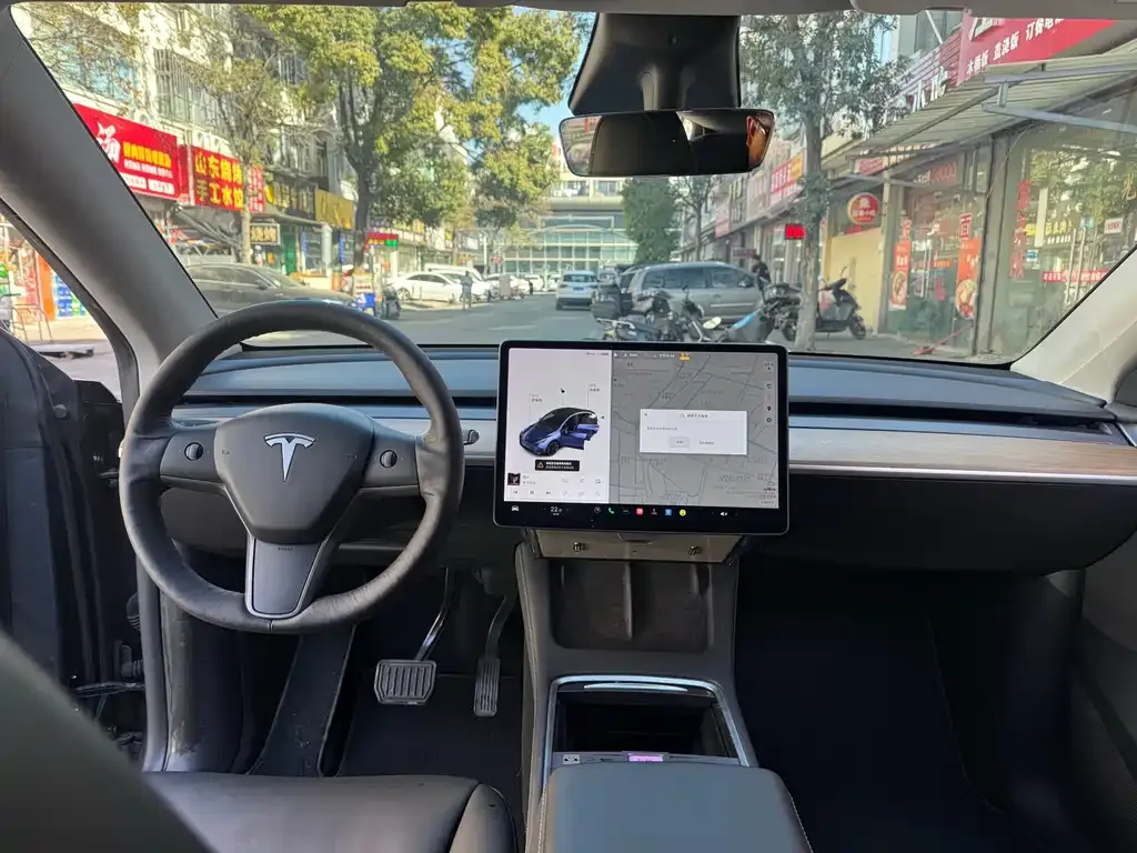 Tesla Model Y 2021 из CN, фото 6