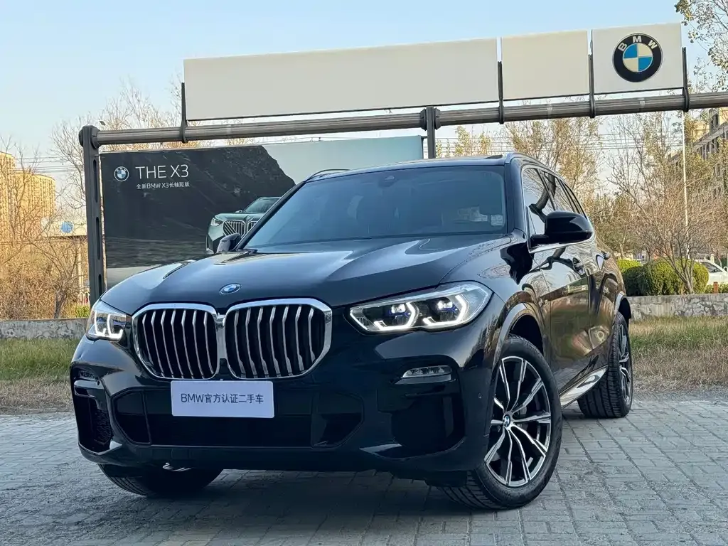 BMW X5 (Import) 2021 из CN, фото 1