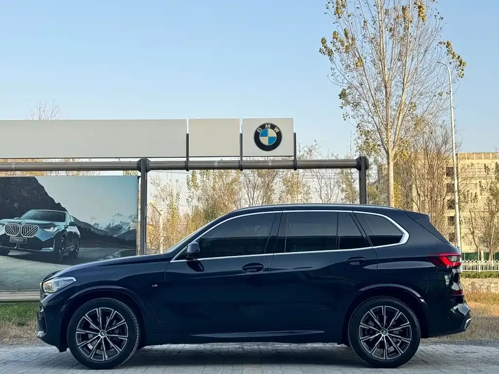 BMW X5 (Import) 2021 из CN, фото 7