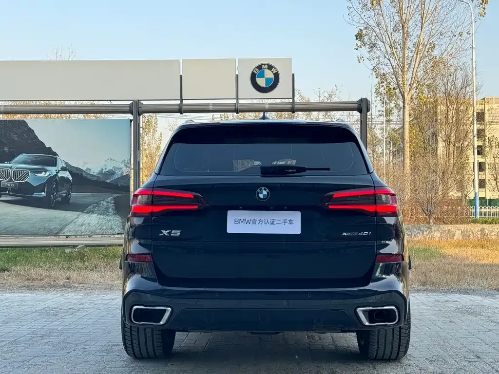 BMW X5 (Import) 2021 из CN, фото 6