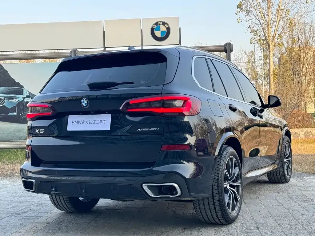 BMW X5 (Import) 2021 из CN, фото 8