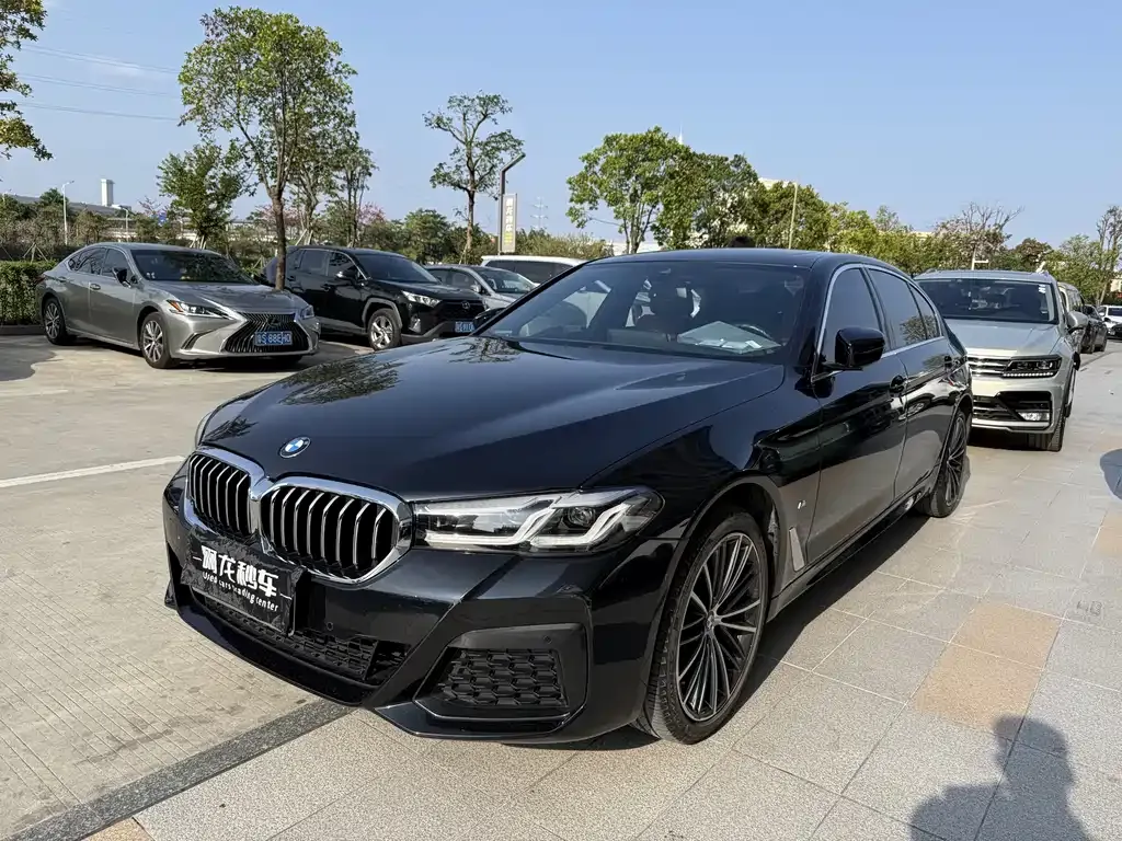 BMW 5 Series 2022 из CN, фото 1