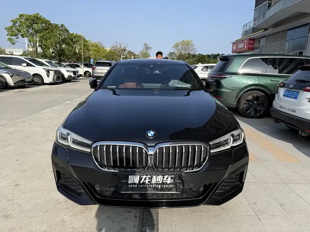 BMW 5 Series 2022 из CN, фото 4