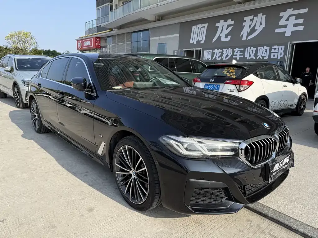 BMW 5 Series 2022 из CN, фото 9