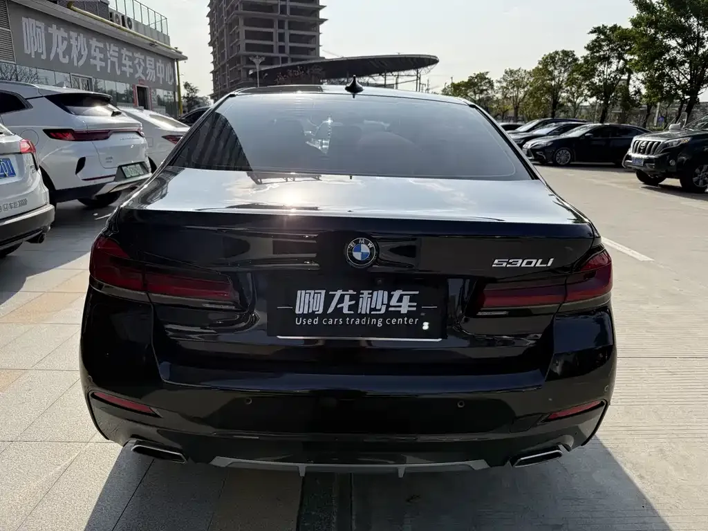 BMW 5 Series 2022 из CN, фото 8