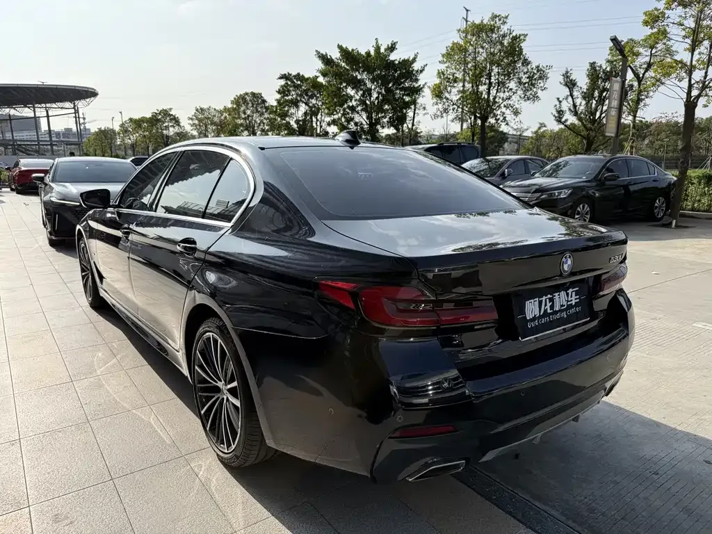 BMW 5 Series 2022 из CN, фото 7