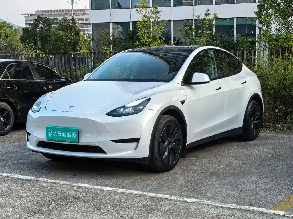 Tesla Model Y — фото 1